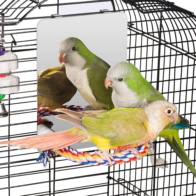 Colorday 7" Bird Mirror with Rope Perch, Bird Swing, Parrot Cage Toys for Parakeet African Grey Conure Cockatiel Lovebird Finch Canarie, Medium