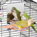 Colorday 7" Bird Mirror with Rope Perch, Bird Swing, Parrot Cage Toys for Parakeet African Grey Conure Cockatiel Lovebird Finch Canarie, Medium