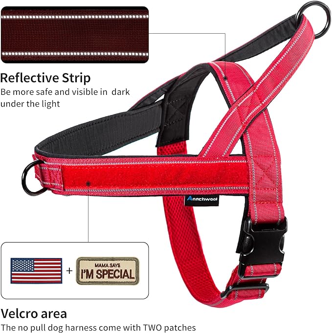 Annchwool No Pull Dog Harness with Padded Handle+5 Ft Leash,Reflective Strip Escape Proof and Quick Fit to Adjust Dog Harness,Easy for Training Walking for Small & Medium and Large Dogs(Red-Set,L)