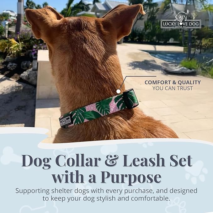 Lucky Love Dog, Tropical Matching Dog Collar & Leash Set, Soft & Comfy, Vivid Pink Color Collar and Leash for Female Male Dogs - (Small, Laguna Combo)
