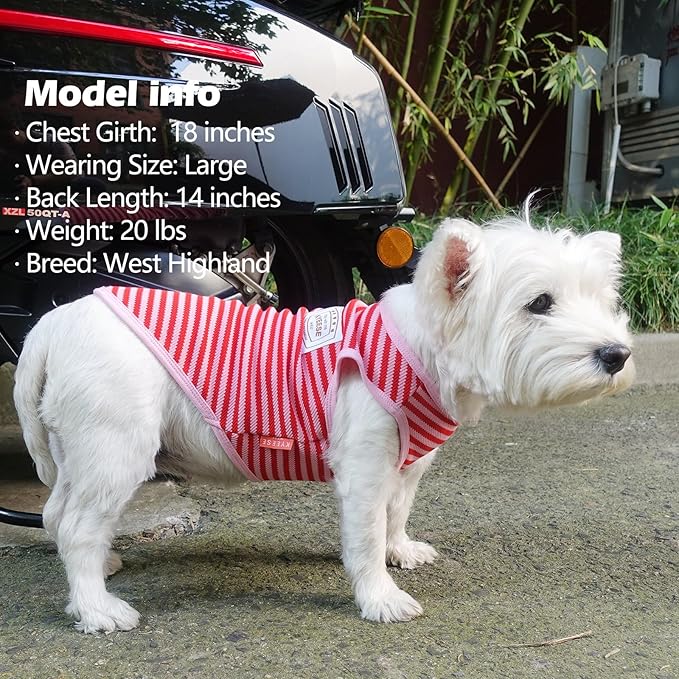 KYEESE 2Pack Dog Shirts Striped for Small Dogs Soft Stretchy Pet T-Shirts Lightweight Tank Top Sleeveless Vest Breathable Cat Outfit, Small, Green+Pink