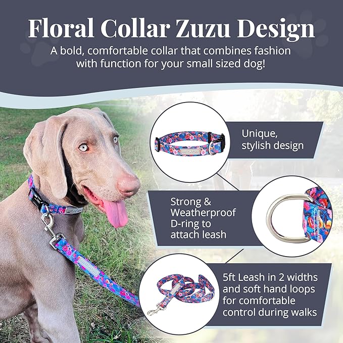Lucky Love Dog - Adjustable Dog Collar with Easy Click Buckle for Small to Large Dogs, Durable, & Comfortable Collar for Male & Female Dogs, Pet Collar for Puppies & Adult Dogs - Zuzu, Small