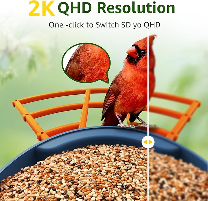 PeckCam® Smart Bird Feeder with Camera 2K HD Auto Detect & Notify, AI Identify 10000+ Birds Camera with Solar Panel 5 Perch Attachments Wireless Outdoor Birdwatching Gift for Birds Lover, Orange