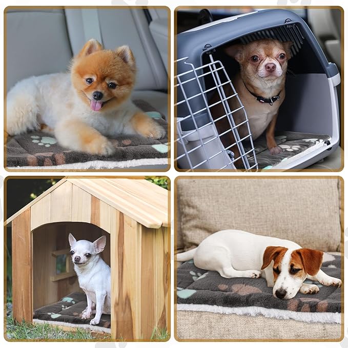 4 Pack Ultra Soft Dog Cat Bed Mat with Cute Prints Reversible Fleece Dog Crate Kennel Pad Cozy Washable Thickened Hamster Guinea Pig Pet Bed Mat for Small Animals(21 x 14 Inches,Black)