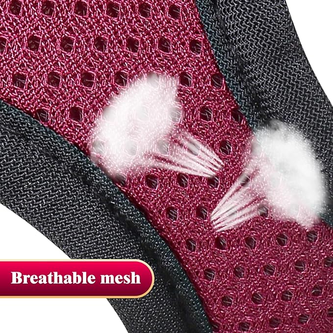 YIMEIS Dog Harness and Leash Set, No Pull Soft Mesh Pet Harness, Reflective Adjustable Puppy Vest for Small Medium Large Dogs, Cats (Grape Purple, X-Small (Pack of 1)