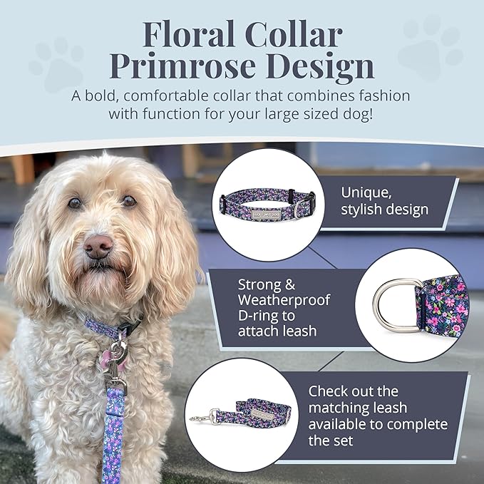 Lucky Love Dog - Adjustable Dog Collar with Easy Click Buckle for Small to Large Ones, Durable, & Comfortable for Male & Female Dogs, Pet Collar for Puppies & Adult Dogs - Primrose, Large