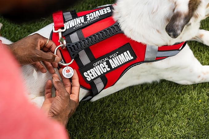Support Pets The Only Official ESA™ Dog Harness – Adjustable No-Pull Dog Vest for Easy Pet Recognition with Reflective Straps – Soft, Padded & Comfortable for Training and Daily Use - XLarge