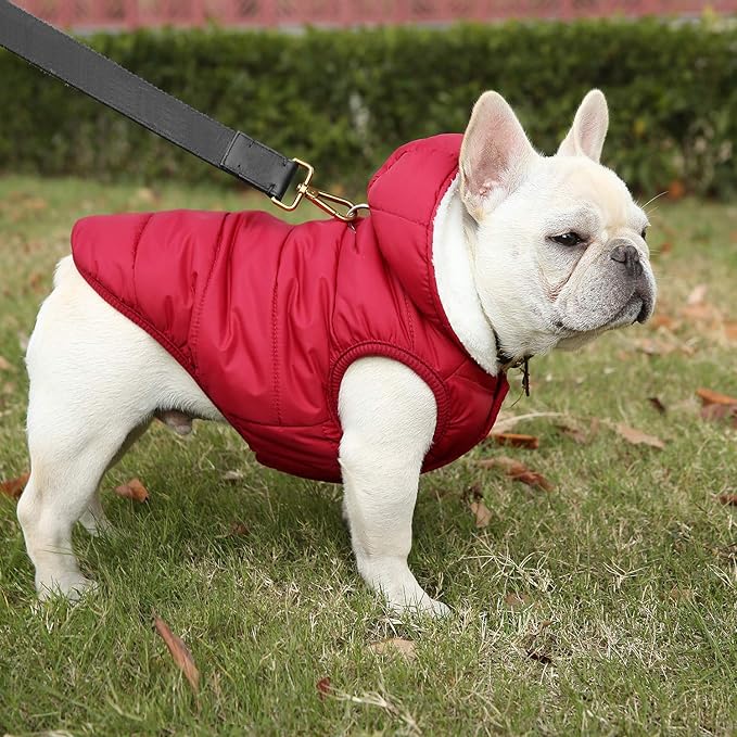 Fleece Hoodie, Windproof Waterproof Coat, Winter Warm Jacket, Cold Weather Pet Apparel Clothes Vest for Small Medium Large Dogs (XL, Red)