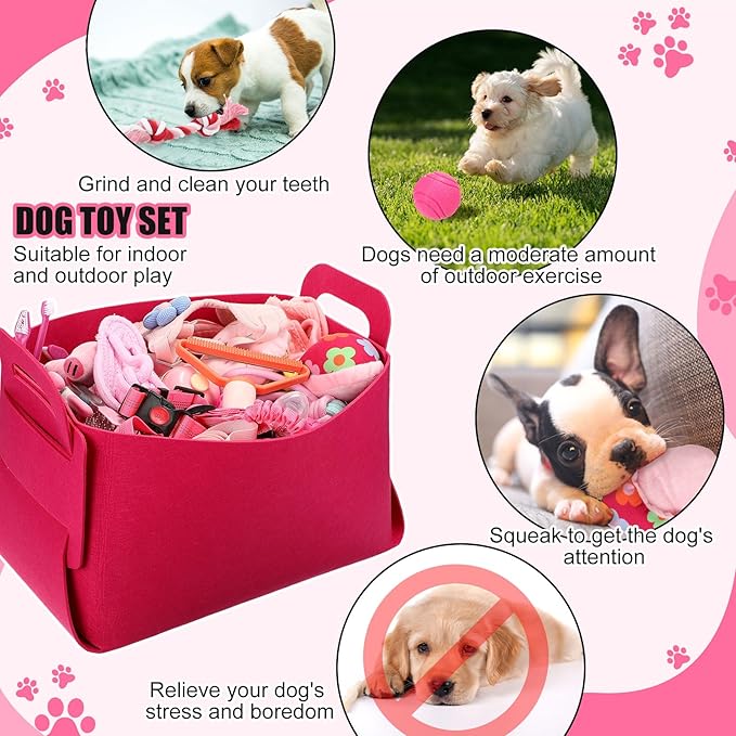 Abbylike 50 Pcs Puppy Supplies Starter Kit for Small Dogs Puppy Essentials Includes Leash, Bowls, Teeth Brushes, Water Bottle, and More Accessories for Dogs Christmas Welcome Gift(Pink)