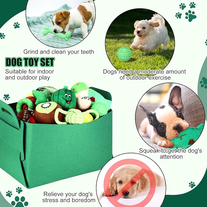 Abbylike 50 Pcs Puppy Supplies Starter Kit for Small Dogs Puppy Essentials Includes Leash, Bowls, Teeth Brushes, Water Bottle, and More Accessories for Dogs Christmas Welcome Gift(Green)