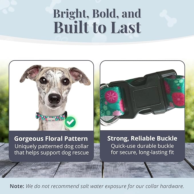 Lucky Love Dog - Adjustable Dog Collar with Easy Click Buckle for Small to Large Dogs, Durable, & Comfortable for Male & Female Dogs, Pet Collar for Puppies & Adult Ones - Penny, Medium