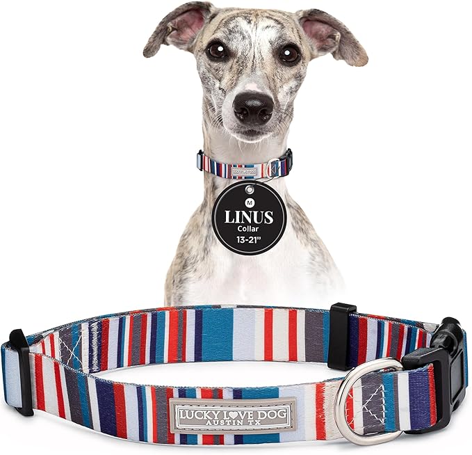 Lucky Love Dog - Adjustable Dog Collar with Easy Click Buckle for Small to Large Dogs, Durable, & Comfortable for Male & Female Dogs, Pet Collar for Puppies & Adult Ones - Linus, Medium
