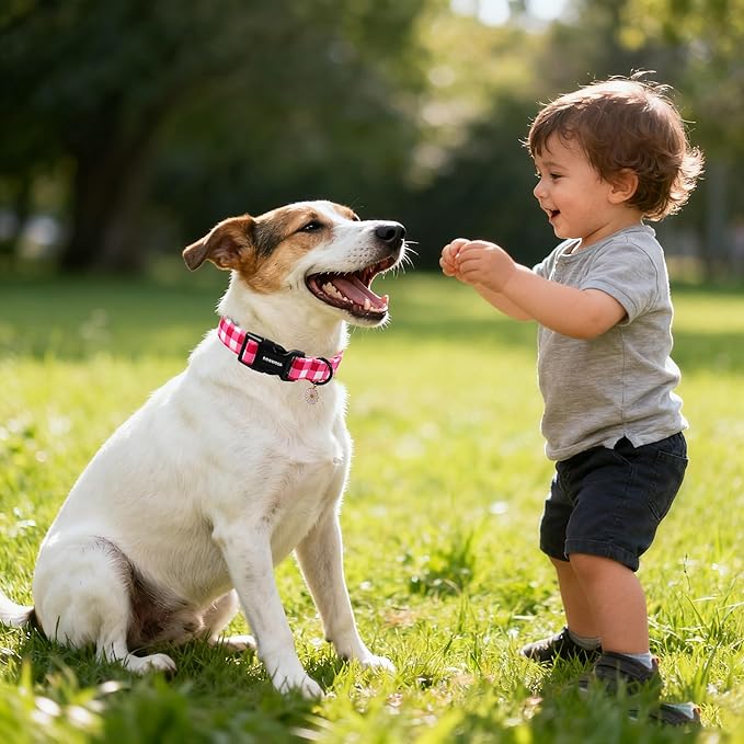 DOGWONG Pink Plaid Dog Collar- Cute Pink Checkered Dog Collar Girl Feamle Dogs Collars for Small Medium Large Dogs M