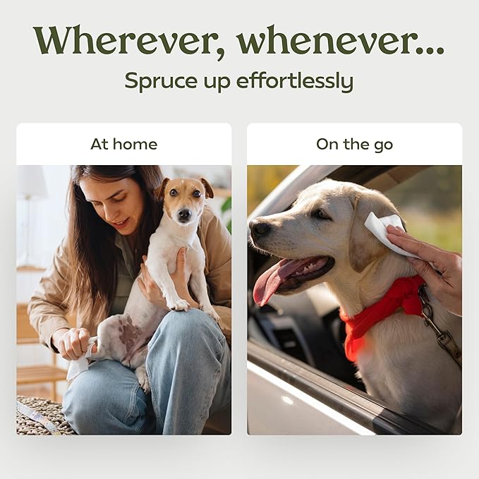 Pawfume Dog Wipes 4 x 100 Count, Pet Wipes – Hypoallergenic & Gentle Dog Wipes for Eyes, Face, Butt, and Paws – Cleaning & Deodorizing, Grooming Tear Stain Wipes for Puppy, Adult Dogs & Cats