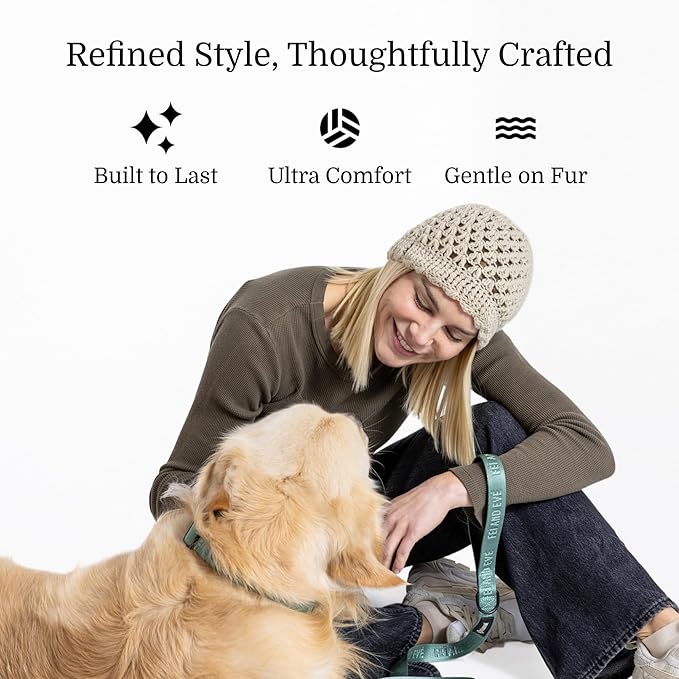 2025 New Edition, Fei & Eve MagEase Dog Collar - Patented Magnetic Buckles | Fur-Safe | Premium 210D Nylon | 450LB Escape-Proof | Adjustable Fit | Small (Glacier Green)