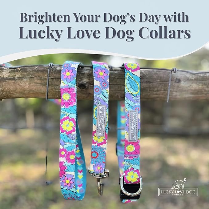 Lucky Love Dog Collars, Cute Large Dog Collars for Female Dogs, Part of Purchase Donated to Rescue (Large, Caroline, Collar)