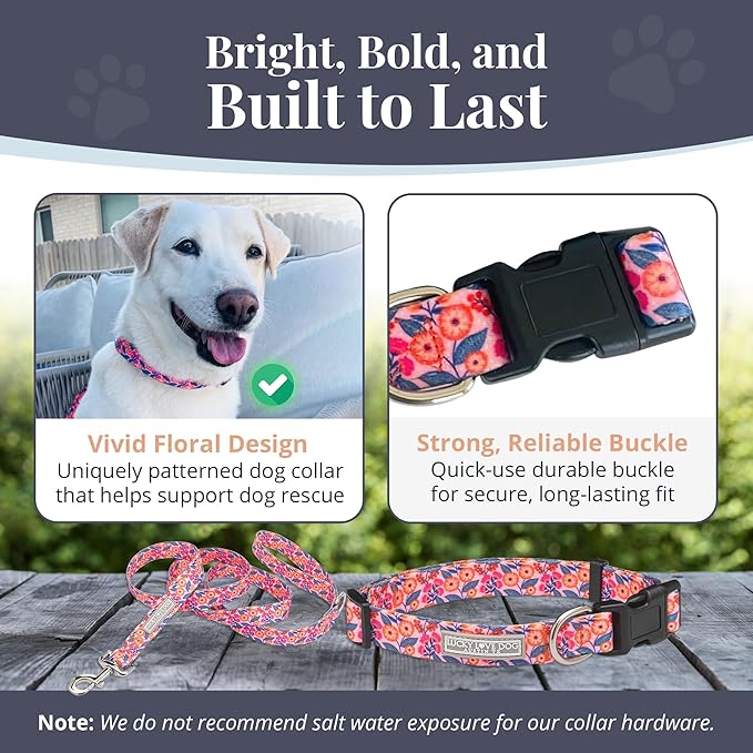 Lucky Love Dog - Easy Click Buckle Dog Collar with Leash Set Combo, Durable & Comfortable for Male & Female Dogs, Pet Collar for Small to Large Dogs, Secure Fit - Floral Rosie Combo, Large