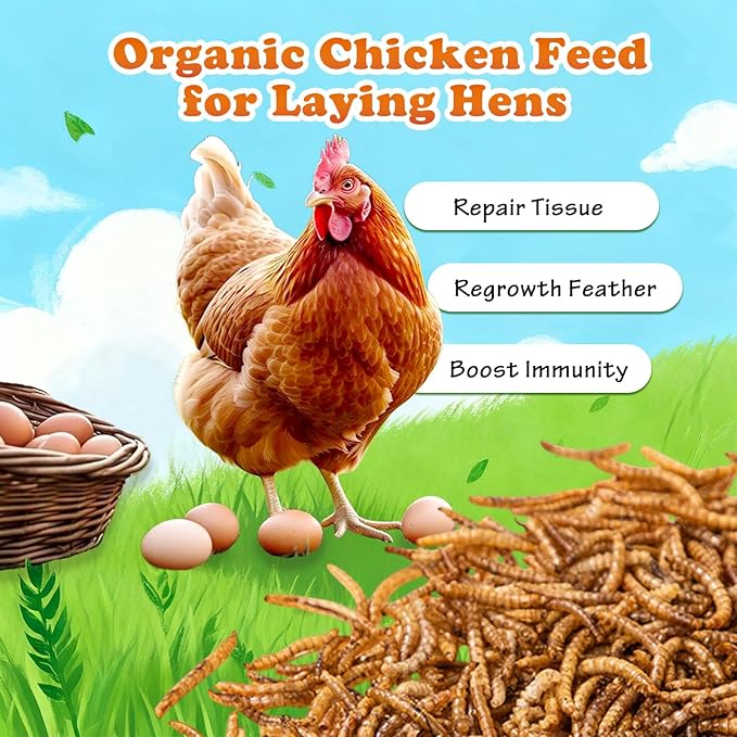 Amzey Dried Mealworms 11 LBS - 100% Natural for Chicken Feed, Bird Food, Fish Food, Turtle Food, Duck Food, Reptile Food, Non-GMO, No Preservatives, High Protein and Nutrition