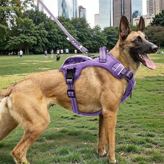 No Pull Dog Harness Medium Sized Dog for Service, Easy Walk, Training - Adjustable Reflective Dog Vest with Handle Easy Control - No Choke Metal Buckled Pet Harnesses (Purple, Medium)