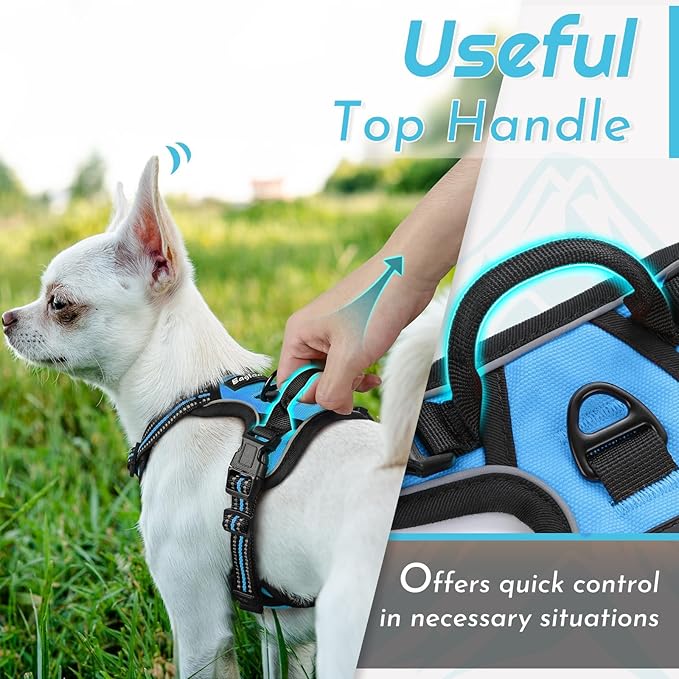 Eagloo Small Dog Harness No Pull, Service Vest with Reflective Strips and Control Handle, Adjustable and Comfortable for Walking, No Choke Pet Harness with 2 Metal Rings, Sky Blue, XS