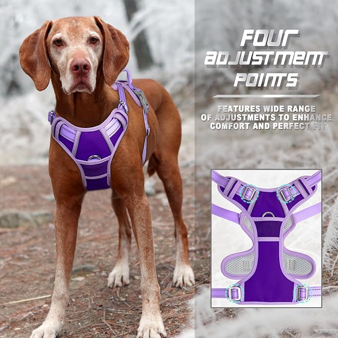 BARKBAY No Pull Dog Harness Front Clip Heavy Duty Reflective Easy Control Handle for Large Dog Walking(Violet Purple & Purple,M)