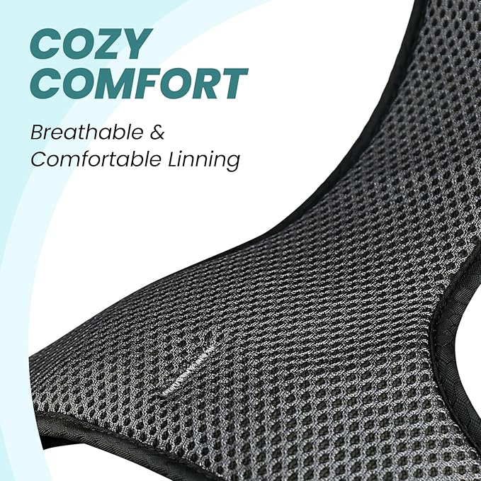 VIVAGLORY Dog Harness Easewalk No Pull Dog Harness with Handle & Front Back Clip for Training Lifting, Easy On Adjustable Padded No Pull for Pet & Puppy, S, Hunter Teal