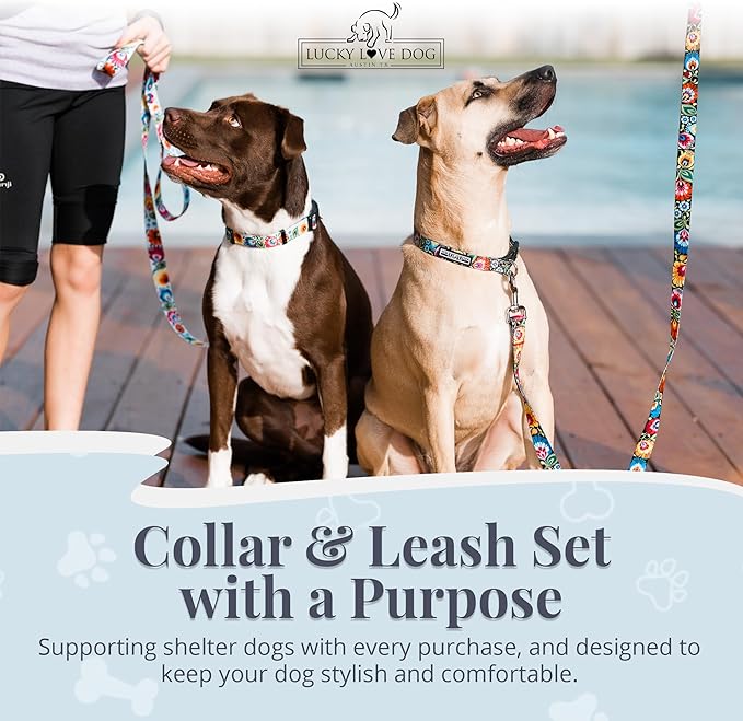 Lucky Love Dog - Easy Click Buckle Dog Collar with Leash Set Combo, Durable & Comfortable for Male & Female Dogs, Pet Collar for Small to Large Dogs, Secure Fit - Blackbird Combo, Small