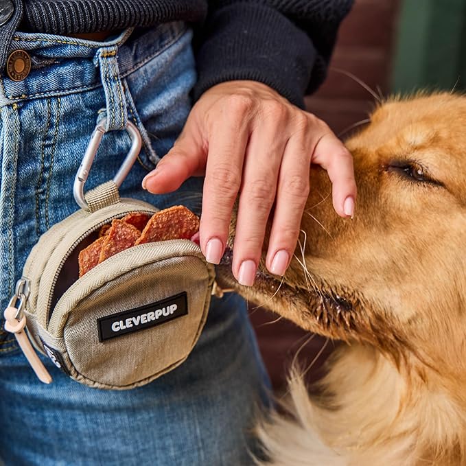 Snackpack Double Insulated Dog Treat Pouch - Holds 1.5 Cups - Dog Training and Walks Snack Bag, Two Pockets for Dry or Wet Treats, Attaches to Leash, Belt, or Bag - Sand
