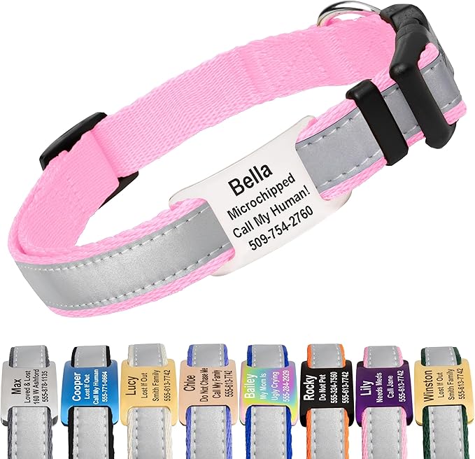 GoTags Reflective Personalized Dog Collar with Nameplate, Adjustable Dog Collar with Custom Engraved Steel Slide On Pet ID Tag, Silent, No Noise Dog Tag for Large Medium or Small (Pink, Large)