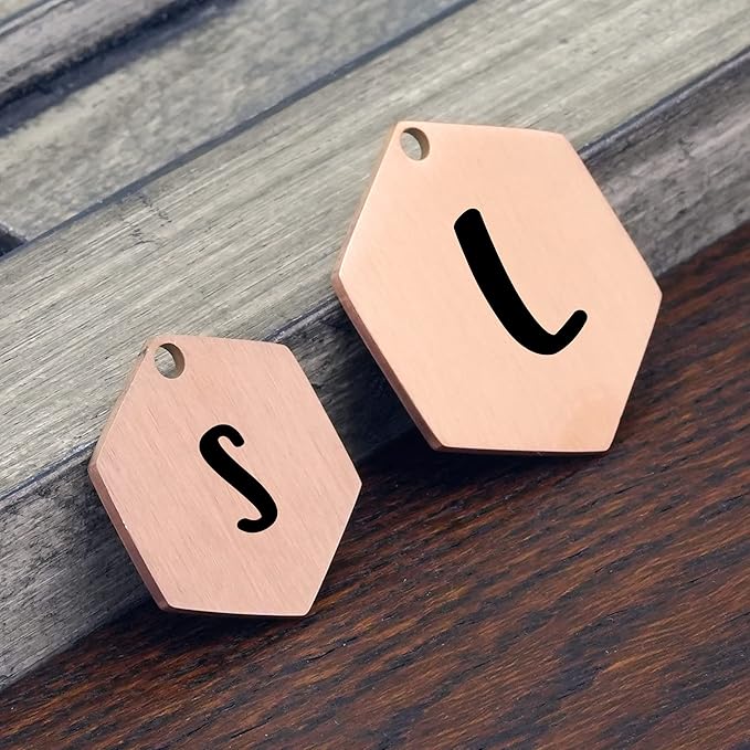 Ultra Joys Stainless Steel Pet ID Customized Personalized, Front and Back Engraving, Hexagon Mountain Design, Rose Small