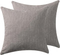 Throw Pillow with Insert 18x18 Inch Set of 2 - Modern Fall Home Decor for Living Room Sofa, Bed - Cute Square Accent Cases - Anthropologie Style Decor (Metallic Gray #P1-11)