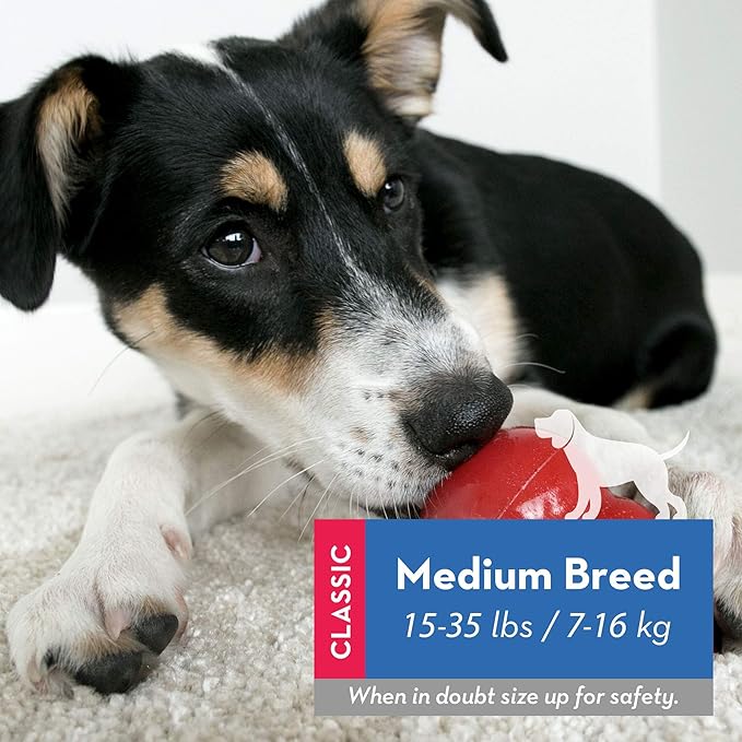 KONG Classic Stuffable Dog Toy - Fetch & Chew Toy for Dogs - Treat-Filling Capabilities & Erratic Bounce for Extended Play Time - Durable Natural Rubber Material - for Medium Dogs (Pack of 2)