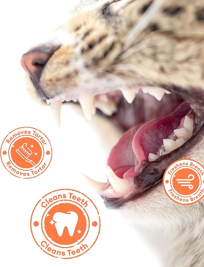 17.63oz Cat Grass Treats for Hairball Control – Natural Salmon & Cat Grass & Catnip Biscuits, Low-Calorie Healthy Snacks for Indoor Cats, Digestive & Dental Care