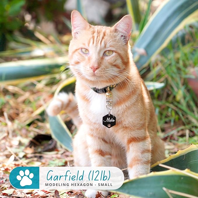 Ultra Joys Personalized Dog Tags - Hollow Paw Custom Pet ID - Engraved Dog Tags for Small, Large Dogs - Large Hexagon in Silver