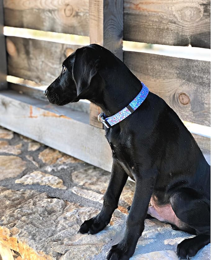 Lucky Love Dog - Adjustable Dog Collar with Easy Click Buckle for Small to Large Ones, Durable, & Comfortable for Male & Female Dogs, Pet Collar for Puppies & Adult Dogs - Winterblue, Small