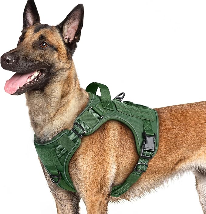 rabbitgoo Dog Harness for Large Dogs No Pull, Tactical Service Pet Vest with Molle and Control Handle, Adjustable and Reflective Military Harness for Easy Walking and Training, Green, L