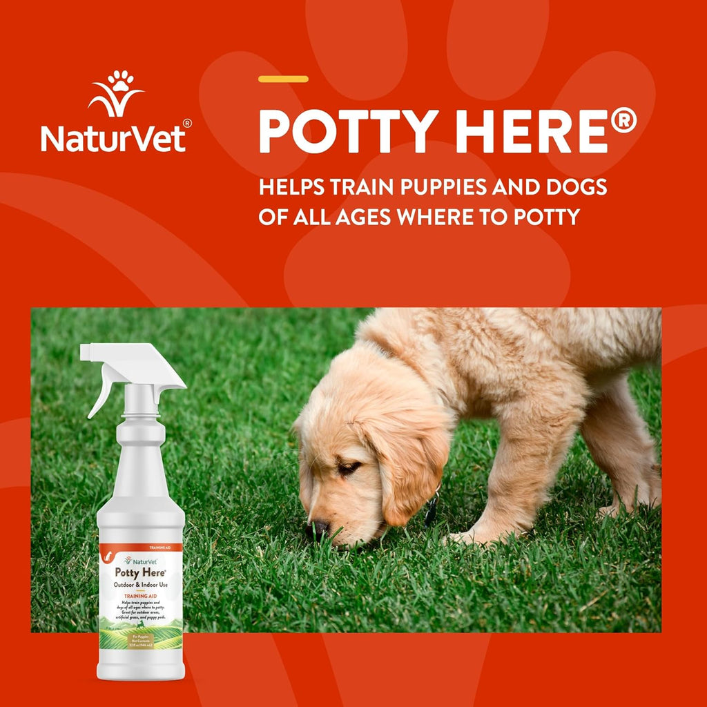 NaturVet – Potty Here Training Aid Spray | Attractive Scent Helps Train Puppies & Dogs Where To Potty | Formulated For Indoor & Outdoor Use | 32 oz