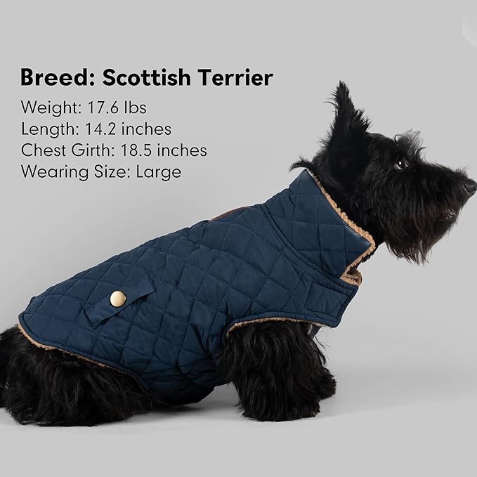 azuza Dog Jacket Waterproof & Windproof Dog Coat for Small Dogs with Thick Fleece, High Collar with Leash Hole, Adjustable Velcro & Elastic Belly, Navy M