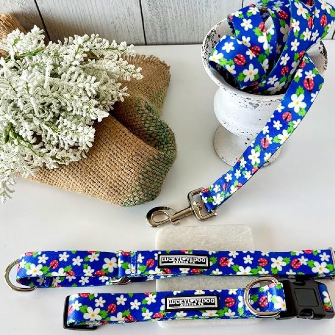 Lucky Love Dog - Easy Click Buckle Dog Collar with Leash Set Combo, Durable & Comfortable for Male & Female Dogs, Pet Collar for Small to Large Dogs, Secure Fit - Lilian Combo, Small