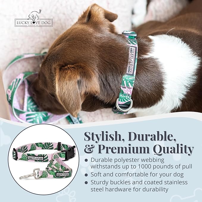 Lucky Love Dog, Tropical Matching Dog Collar & Leash Set, Soft & Comfy, Vivid Pink Color Collar and Leash for Female Male Dogs - (X-Small, Laguna Combo)