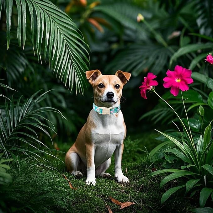 DOGWONG Spring Floral Cotton Dog Collar, Pink Flower Dog Collar Durable Soft Fabric Pet Dog Collars Cute Beachy Girl Female Puppy Necklace for Small Medium Large Dogs