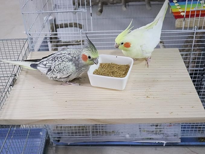 15.7×10.4 Inches Large Bird Perch Stand Platform, Natural Wooden Small Animals Cage Accessories, Rectangle Stand Perch Shelf for Parrot Parakeet Cockatiel Rat Hamster Guinea Pig Conure Chinchillas