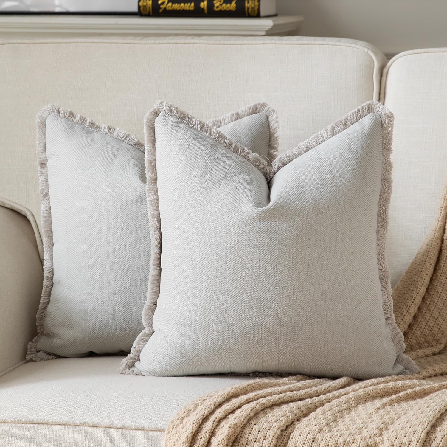 Set of 2 Decorative Fringe Throw Pillow Covers Chenille Pillow Covers Elegant Design Pillowcase Soft Tassels Cushion Cover for Couch Bed Home Decor,24×24 Inch,Light Gray