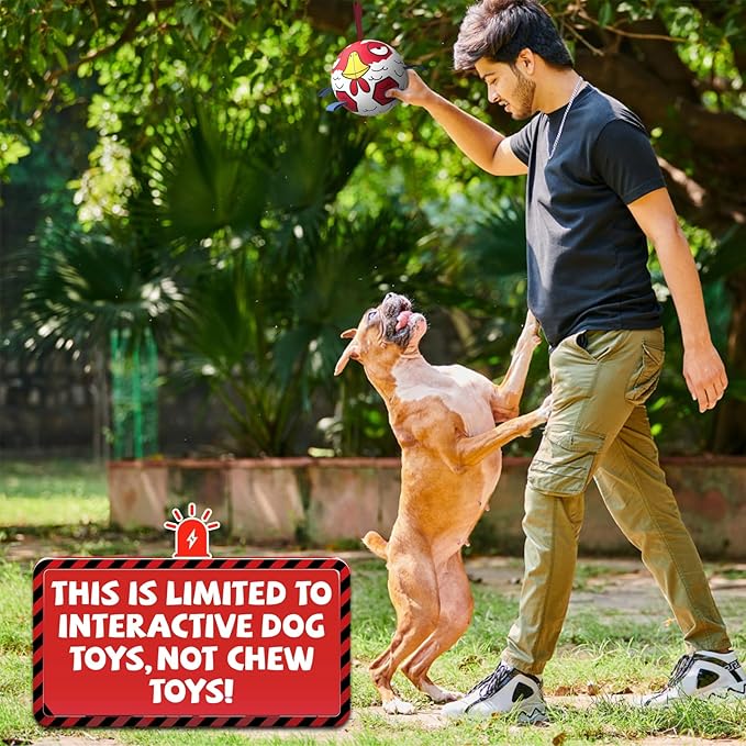 QDAN Chicken Dog Toys Soccer Ball with Straps, Interactive Dog Toys for Tug of War, Puppy Birthday Gifts, Tug Toy, Dogs Water Toy, Durable Dogs Balls for Dog（8 Inch）
