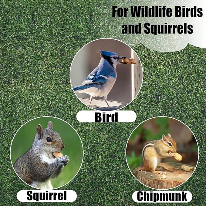 Old Potters Wildlife in-Shell Peanuts for Birds, Squirrels and Wildlife. USA Grown Non-GMO Raw in-Shell Peanuts (in-Shell, 8 lbs)