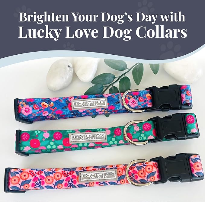 Lucky Love Dog - Adjustable Dog Collar with Easy Click Buckle for Small to Large Ones, Durable, & Comfortable for Male & Female Dogs, Pet Collar for Puppies & Adult Dogs - Rosie, Small
