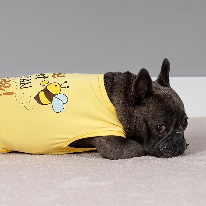 Fitwarm Bee The Best You Can Dog Shirt, Summer Clothes for Small Dogs Boy Girl, Funny Pet Outfit, Yellow, Brown, Blue, XXL