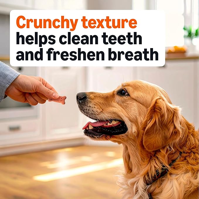 Amazon Basics Multi Flavor Biscuits Dog Treats 5 lb. Box