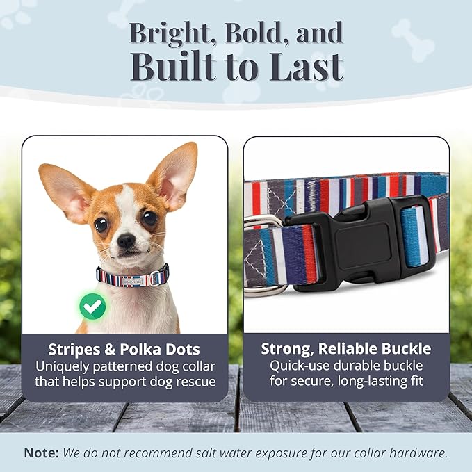 Lucky Love Dog - Adjustable Dog Collar with Easy Click Buckle for Small to Large Dogs, Durable, & Comfortable for Male & Female Dogs, Pet Collar for Puppies & Adult Ones - Linus, XS