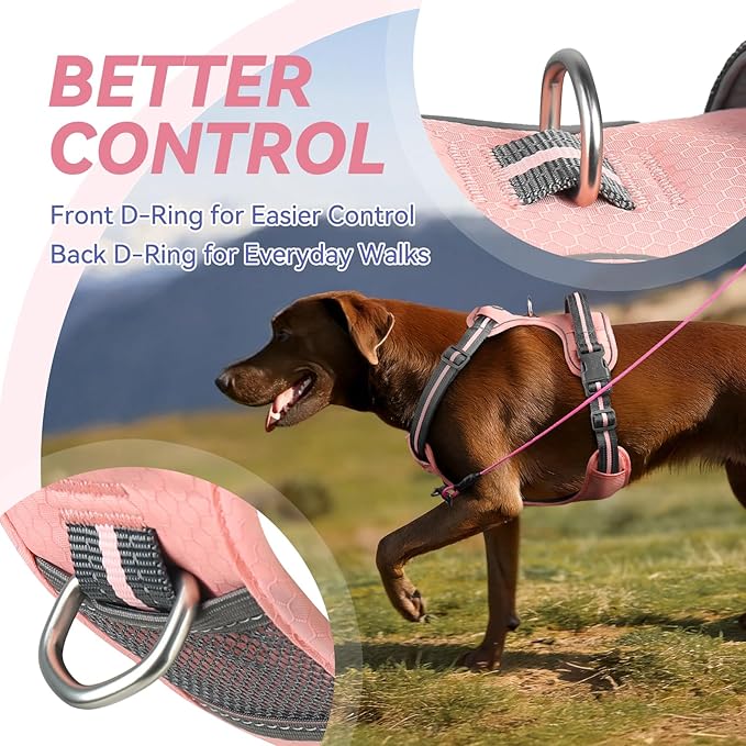 VIVAGLORY Dog Harness Easewalk No Pull Dog Harness with Handle & Front Back Clip for Training Lifting, Easy On Adjustable Padded No Pull for Pet & Puppy, XS, Sakura Pink